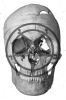 Evil Metal Skull